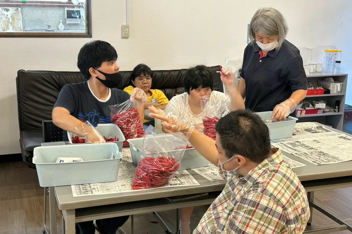南風原本店で、唐辛子のヘタ取りの作業をしている様子